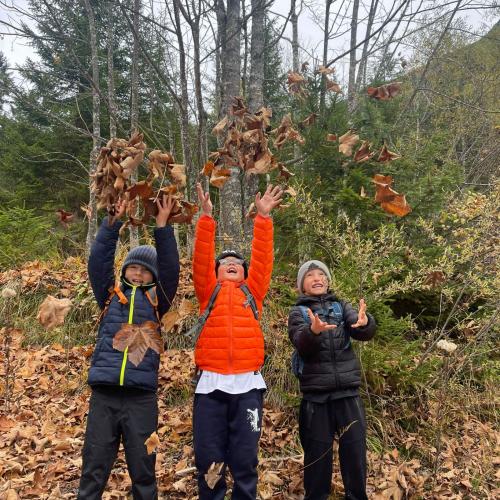 2025-10-23_2a_Pertisau-Pletzach_06