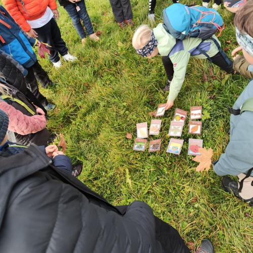 2025-10-23_2a_Pertisau-Pletzach_07