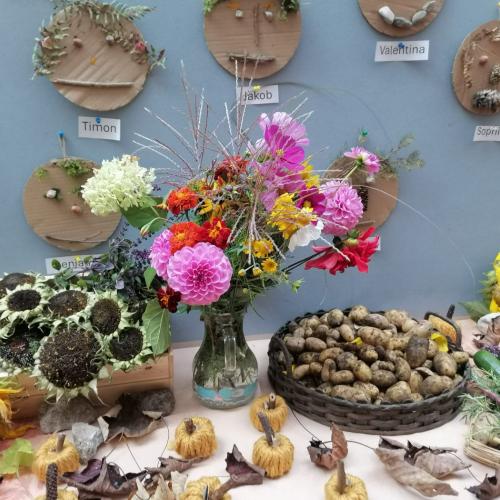 Ausstellung unserer Ernte