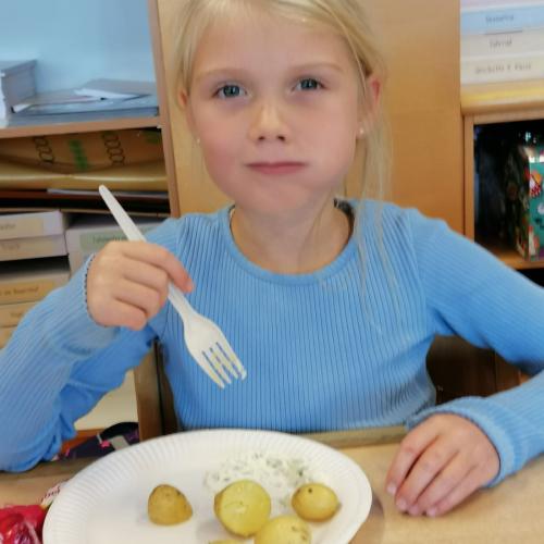 Kartoffeln verkosten