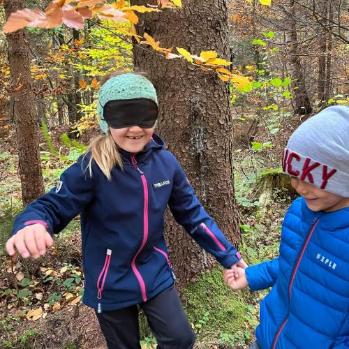 Naturparktag 2b Wald