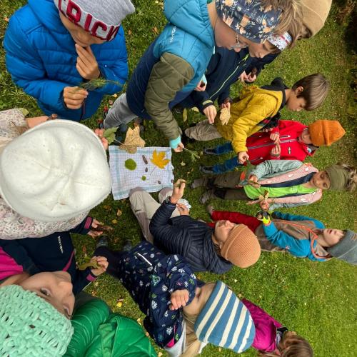 Naturparktag 2b Wald