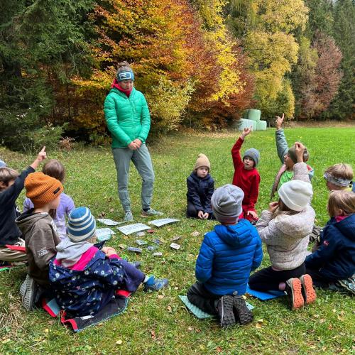 Naturparktag 2b Wald