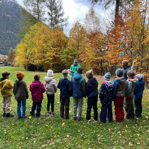 Naturparktag 2b Wald