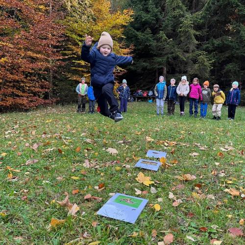 Naturparktag 2b Wald