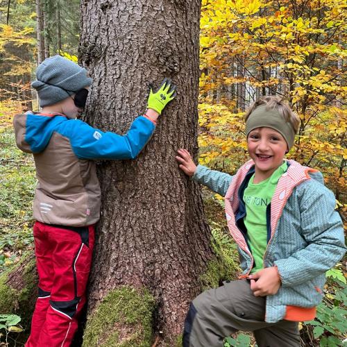 Naturparktag 2b Wald