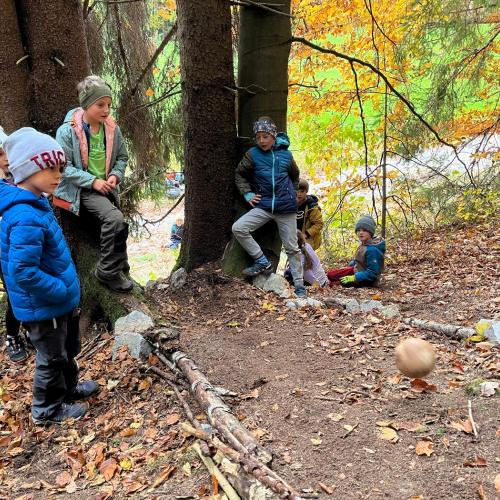 Naturparktag 2b Wald