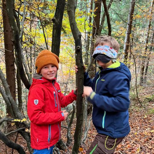 Naturparktag 2b Wald