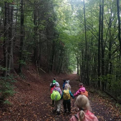 Wald und Wiesentag 