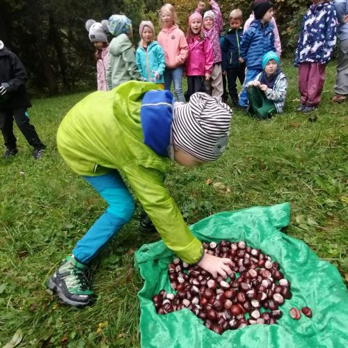Im Staffelspiel ordnen wir Mengen richtig zu