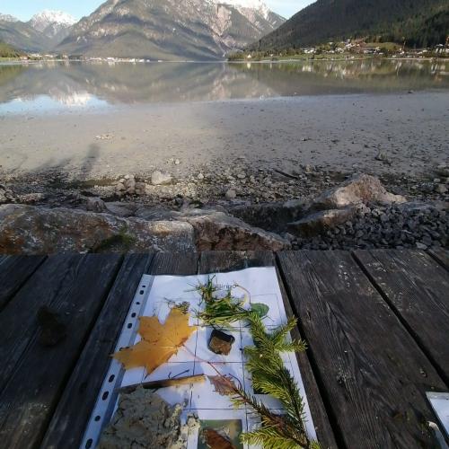 Naturbingo