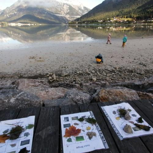 Naturbingo