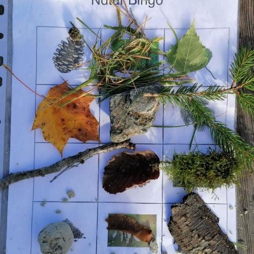 Naturbingo