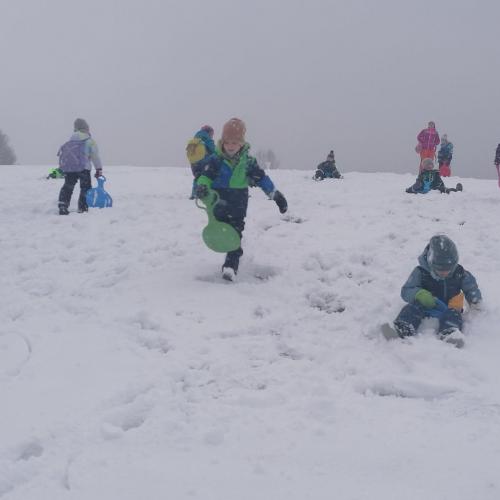 Wald- und Wiesentag, am 26.11.2025