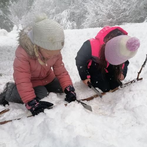 Wald- und Wiesentag, am 26.11.2025