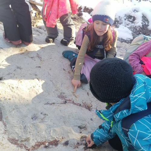 Wald- und Wiesentag, am 03.12.2025