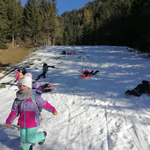 Wald- und Wiesentag, am 03.12.2025