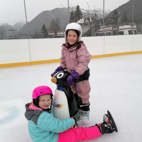 Wald- und Wiesentag, am 17.12.2025