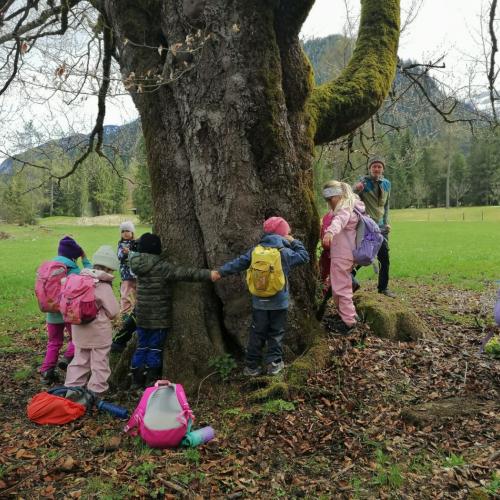 Mit allen Sinnen durch die Landschaft