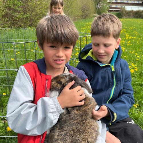 Kaninchen