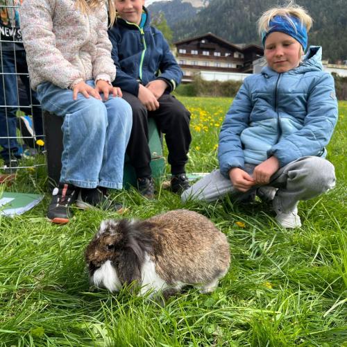 Kaninchen