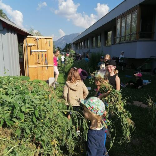 Wald - und Wiesentag der 1a, am 24.06.2026