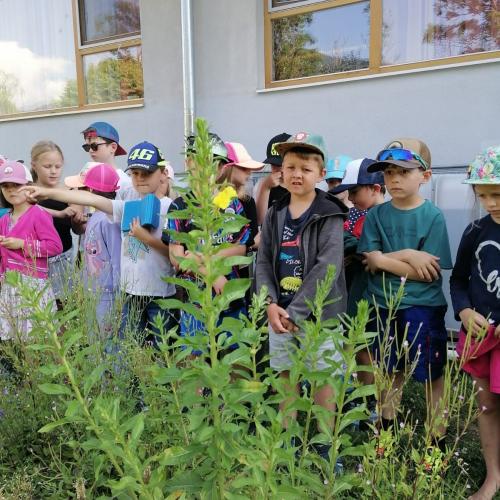 Wald - und Wiesentag der 1a, am 24.06.2026