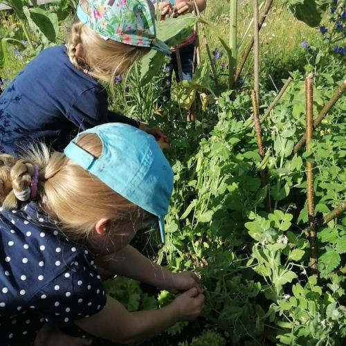 Wald - und Wiesentag der 1a, am 24.06.2026