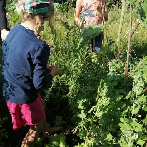 Wald - und Wiesentag der 1a, am 24.06.2026
