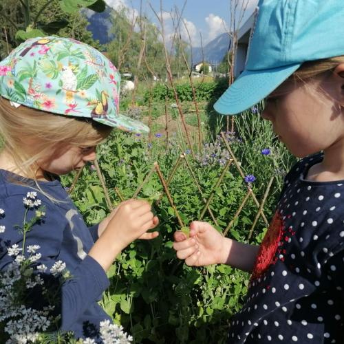Wald - und Wiesentag der 1a, am 24.06.2026
