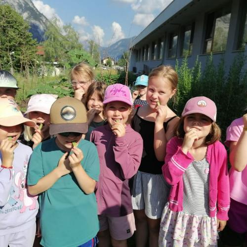 Wald - und Wiesentag der 1a, am 24.06.2026
