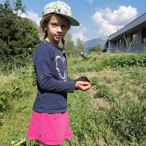 Wald - und Wiesentag der 1a, am 24.06.2026
