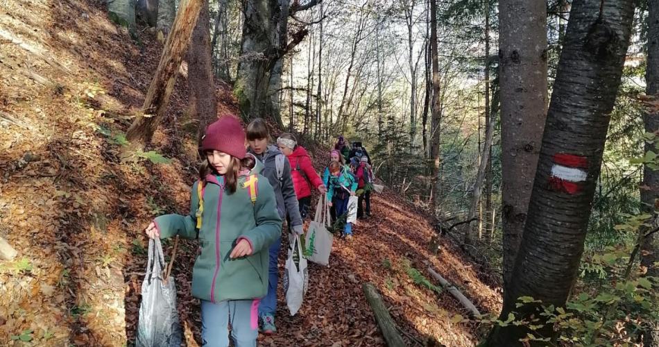 Wald- und Wiesentag 05.11.2024
