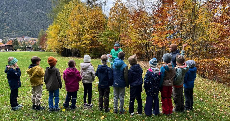 Naturparktag 2b Wald